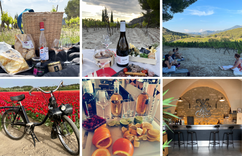 Oenotourisme chez Xavier Vignon