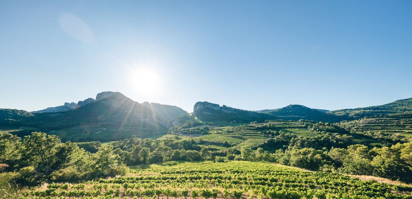 beaumes de venise terroir questions vigne vins cépages